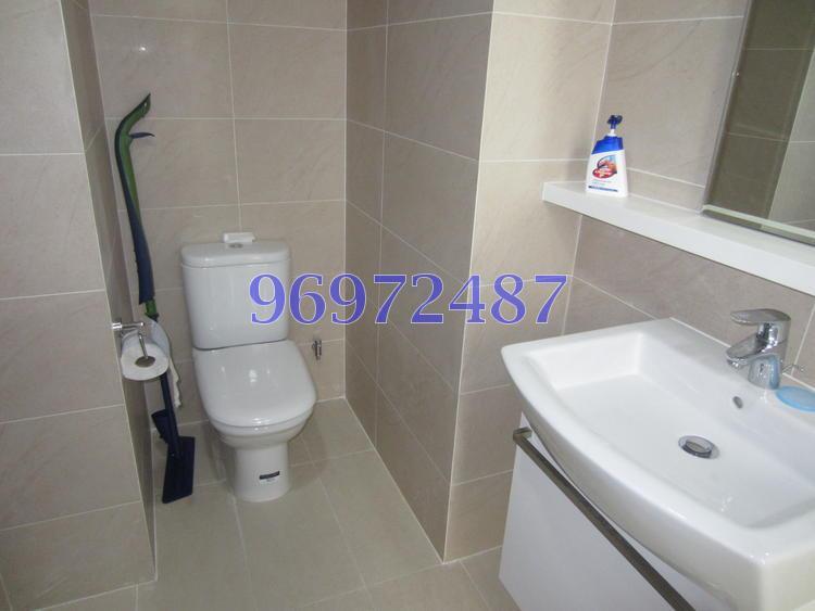 The Miltonia Residences (D27), Condominium #153667362